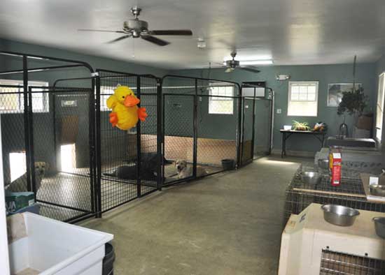 dog kennel inside house