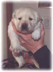 Turquoise Girl at 3 weeks