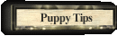 Puppy Tips on Raising a Puppy